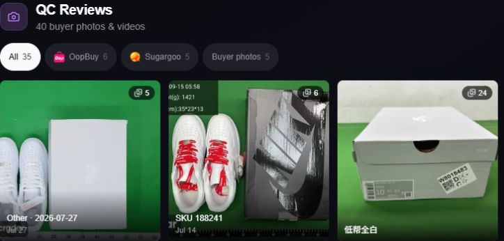 Example QC section showing Other, SKU 188241 and a separate Chinese variant label beneath three photo groups